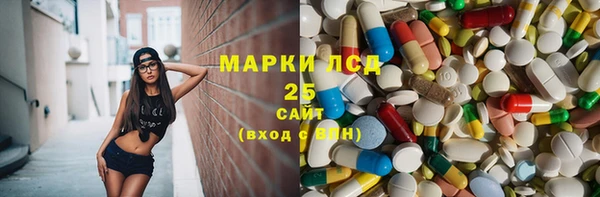 PSILOCYBIN Балабаново