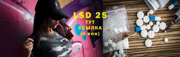 PSILOCYBIN Балабаново