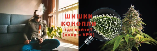 PSILOCYBIN Балабаново