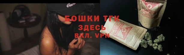 PSILOCYBIN Балабаново