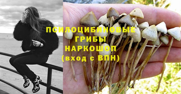 меф Балахна