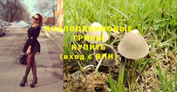 PSILOCYBIN Балабаново