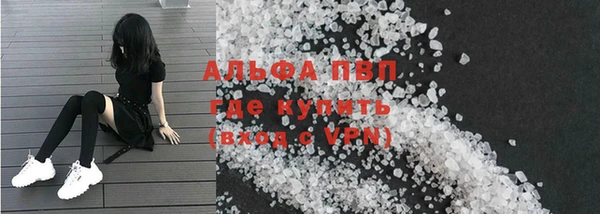 PSILOCYBIN Балабаново