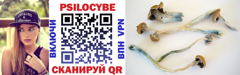 Псилоцибиновые грибы Psilocybe  наркота  Белинский 